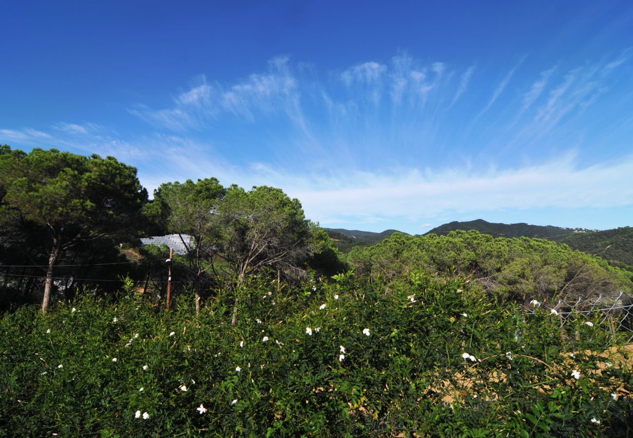 Townhouse in Sant Cebrià de Vallalta - HomeHolidaysRentals Nature - Costa Barcelona