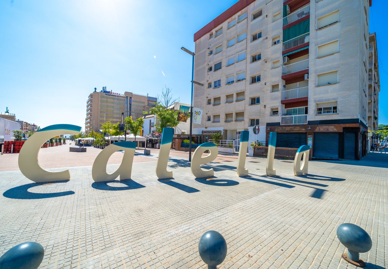 Apartment in Calella - HomeHolidaysRentals Balmes - Costa Barcelona