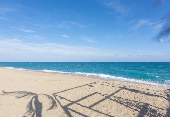 Apartment in Pineda de Mar - HomeHolidaysRentals Olai - Costa Barcelona