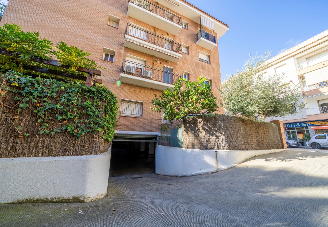 Apartment in Pineda de Mar - HomeHolidaysRentals Coquette - Costa Barcelona