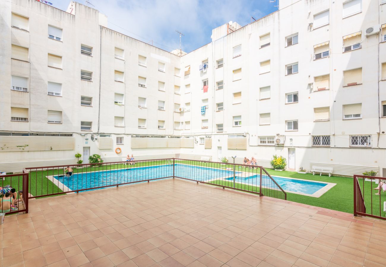 Studio in Pineda de Mar - HomeHolidaysRentals Olimpia - Costa Barcelona