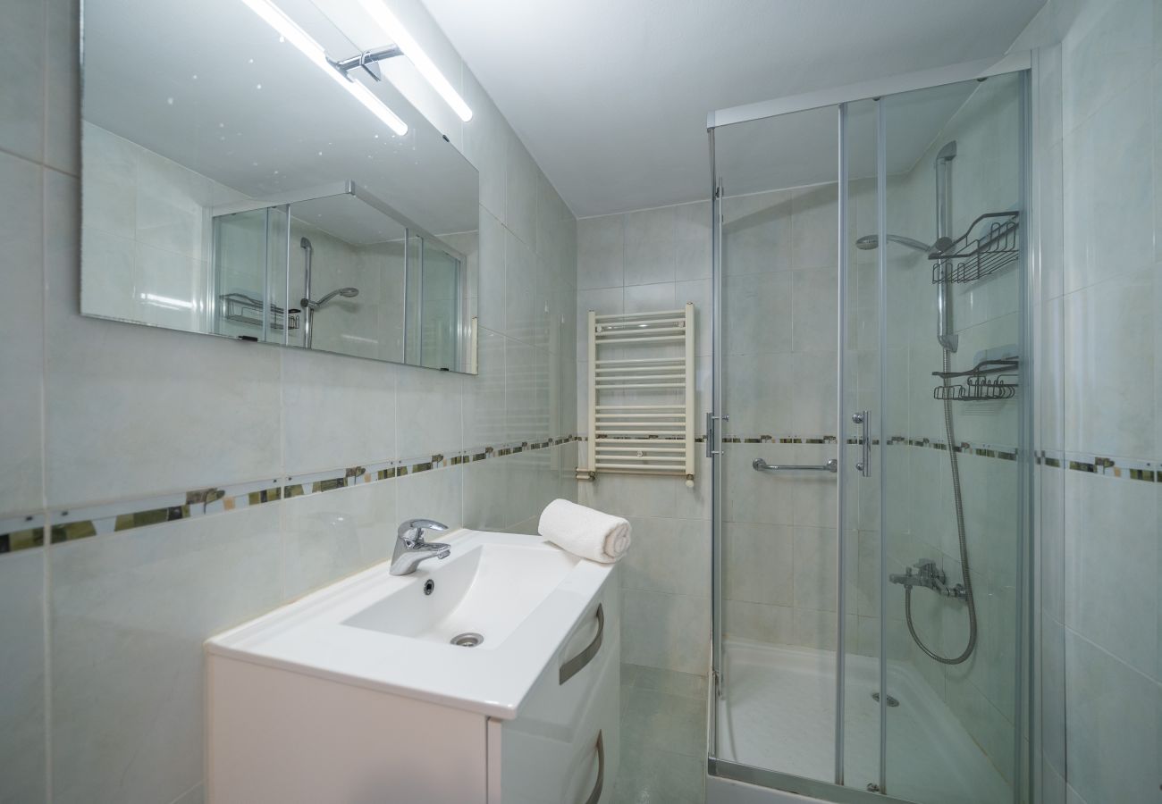 Apartment in Pineda de Mar - HomeHolidaysRentals Magic - Costa Barcelona