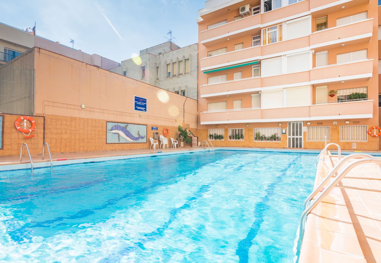 Apartment in Pineda de Mar - HomeHolidaysRentals Magic - Costa Barcelona