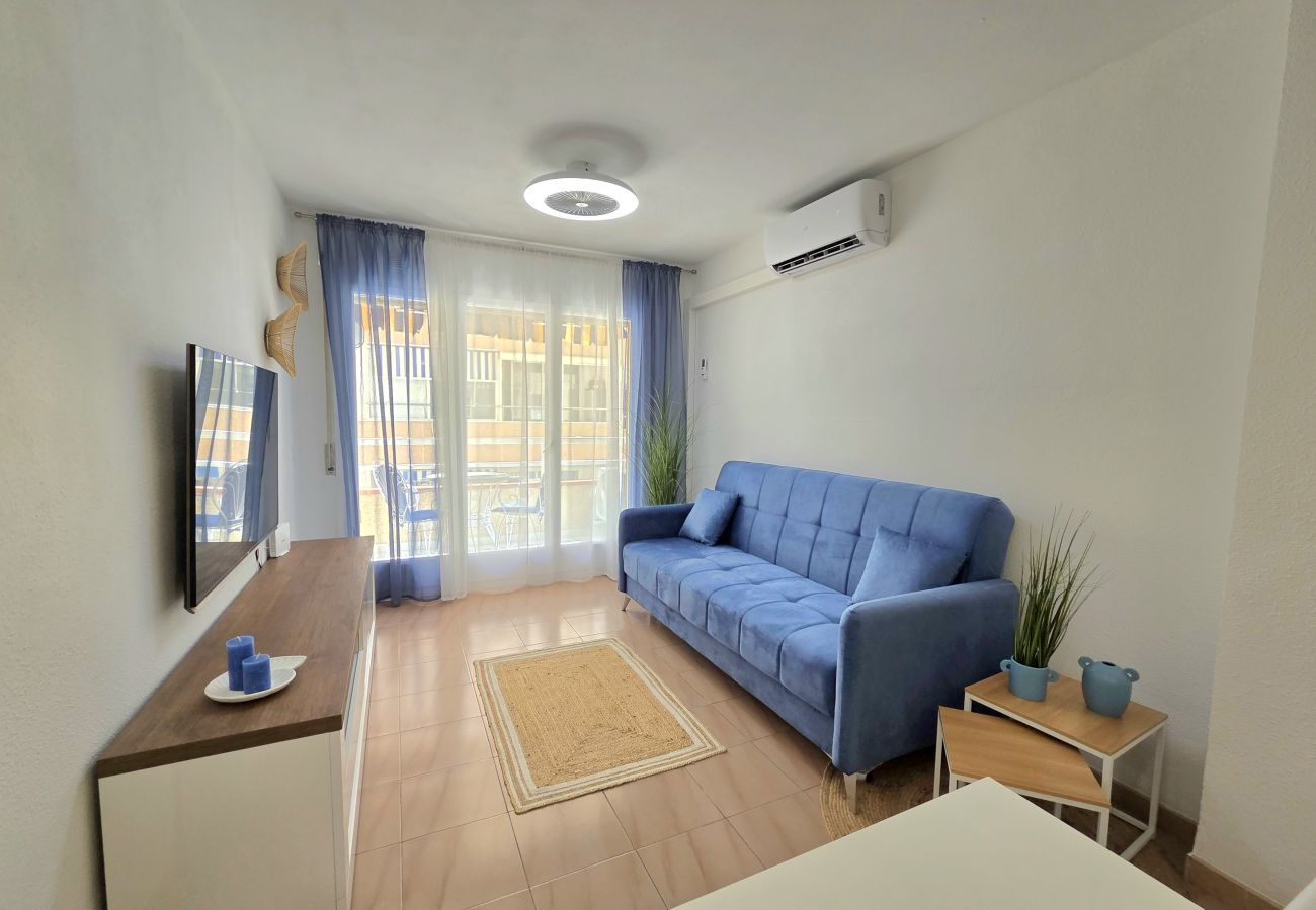 Apartment in Pineda de Mar - HomeHolidaysRentals Luka - Costa Barcelona