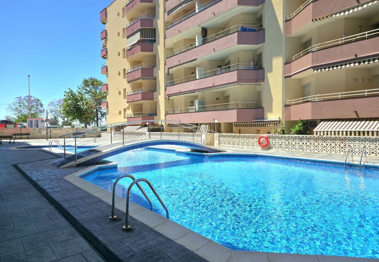Apartment in Pineda de Mar - HomeHolidaysRentals Luka - Costa Barcelona