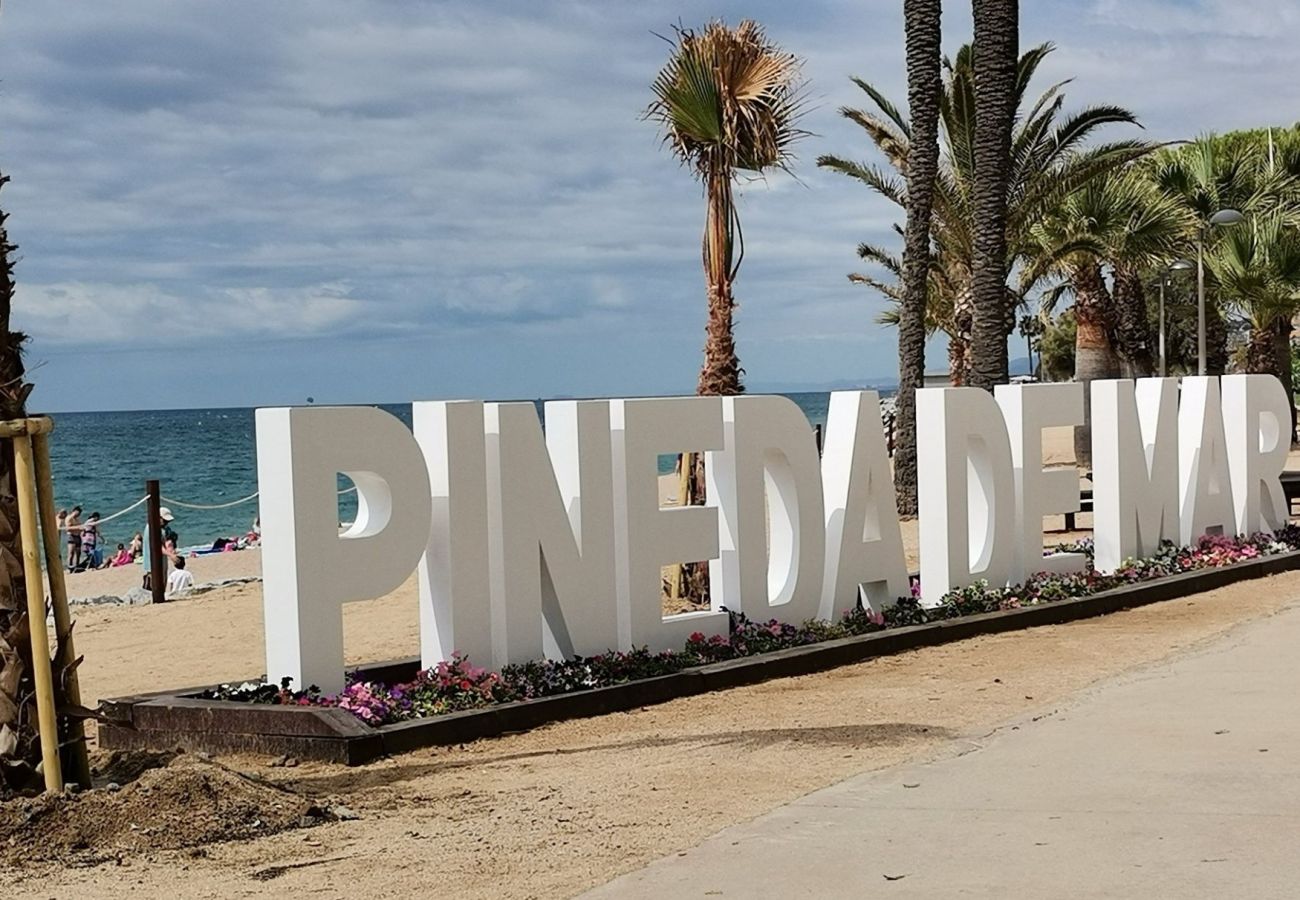 Apartment in Pineda de Mar - HomeHolidaysRentals Brisol - Costa Barcelona