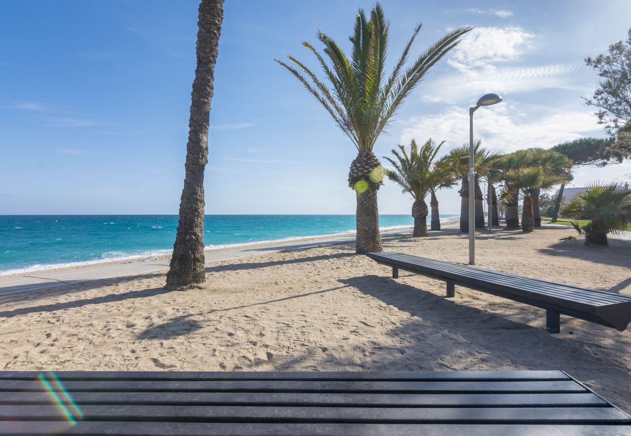 Apartment in Pineda de Mar - HomeHolidaysRentals Brisol - Costa Barcelona