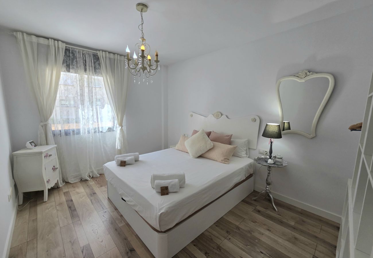 Apartment in Pineda de Mar - HomeHolidaysRentals Eloise Costa Barcelona.